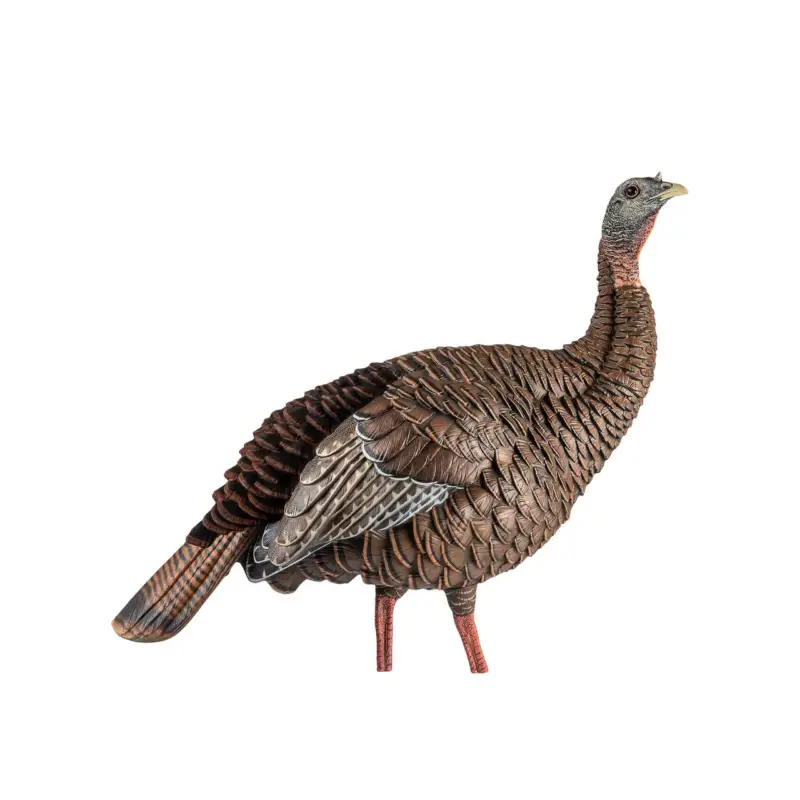 Avian-X HDR Hen Turkey Decoy One Day Deal