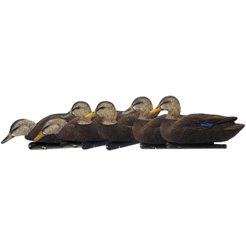 AVIAN-X AVX8075 TOPFLIGHT BLACK DUCKS 6 PACK Secure Checkout