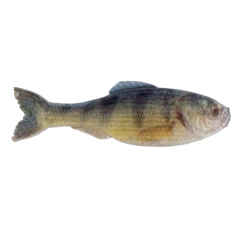 6th Sense Panorama Softbait 3.5" Live Yellow Perch Order Now