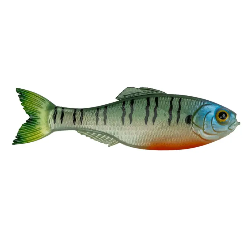 Premium 6th Sense Panorama 6.5 4K Bluegill