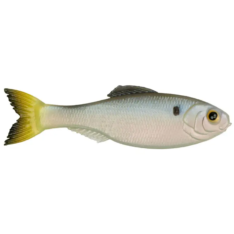 6th Sense Panorama Softbait 2" Clearwater Shad Fan Favorite