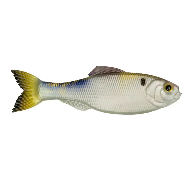 6th Sense Panorama 5 4K Shad Best Choice