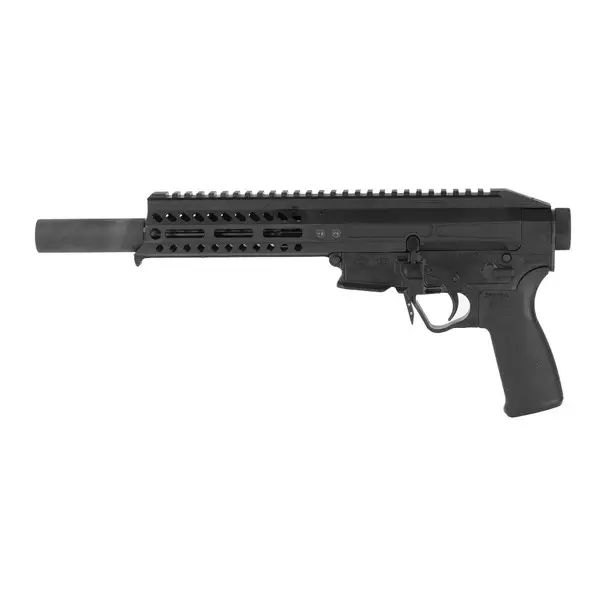 Patriot Ordnance Factory Rebel, Semi-automatic, AR, 22 LR, 10 Rounds, 1 Magazine 01837 Brand New