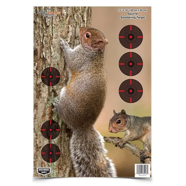 Factory Price BIRCHWOOD CASEY Pregame 12x18in Squirrel Targets, 8-Pack (35406)