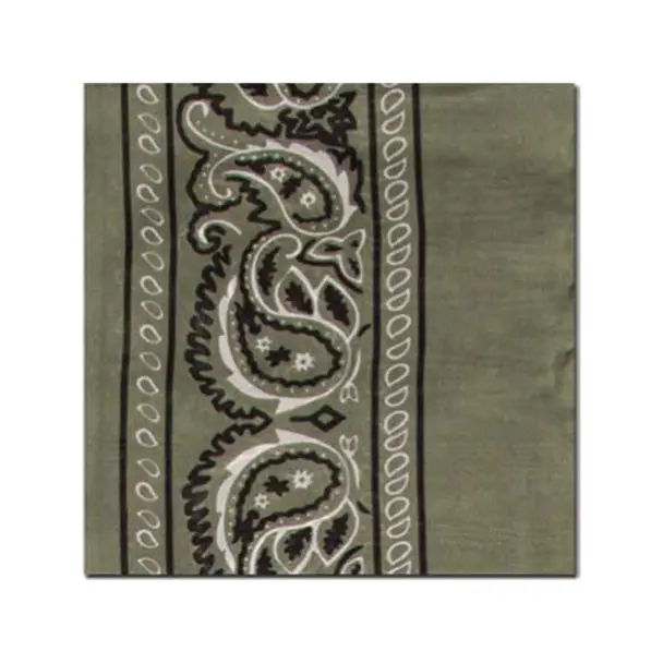 WYOMING TRADERS Bandana Sage Regular Silk Scarf (BS) Special Discount